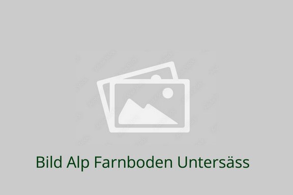Alpen-Farnboden_Untersaess.jpg 